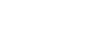 Flash Suplements logo