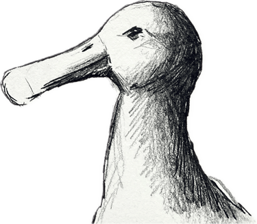 supernova tattoos logo