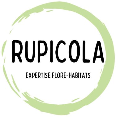 Rupicola logo