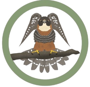 Ecoportal de Piedra logo