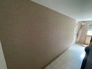 Peintre en Bâtiment , Rénovation , Peinture , Enduit , Finition