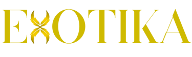EXOTIKA logo