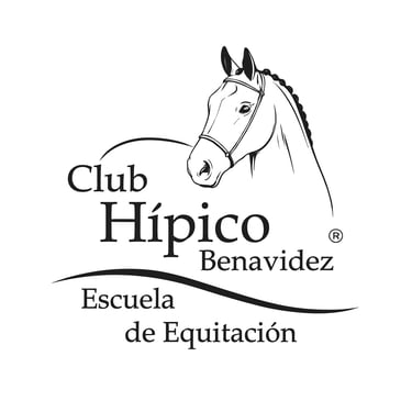 Club Hipico Benavidez logo
