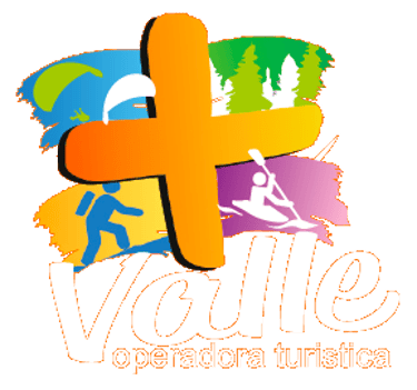 mas valle logo