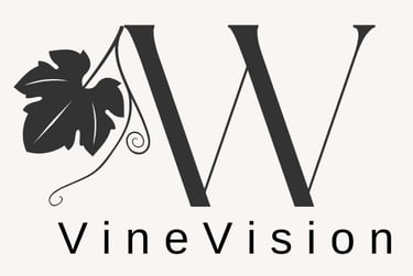 VineVision logo