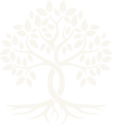 Ascona Vineyards logo