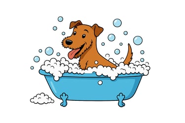 Bela Bubble logo