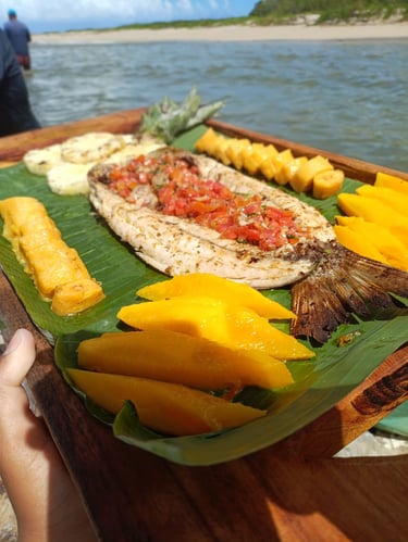 Moises passeio de jangada milagres logo