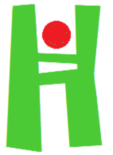 Humans Of Valor logo