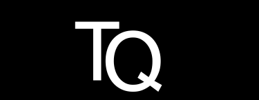 Techonquer Cyber Security  logo