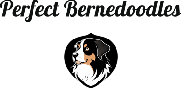 perfect bernedoodles logo