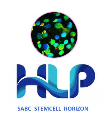 HLPstem.com logo