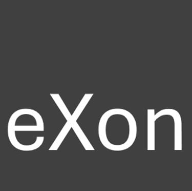 eXon infotech solutions logo