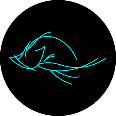 Arium Box & Water House logo