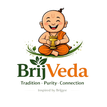 BrijVeda logo