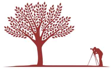 Otra Vista - Servicios Visuales por Miro Slavin logo