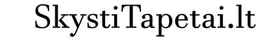 SilkPlaster logo