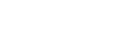Fizio Perfectus logo