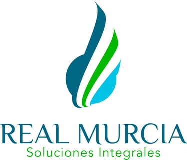 REAL MURCIA SOLUCIONES INTEGRALES S.A.S. logo
