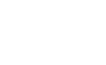 ToroTeaches logo