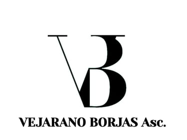 vejarano borjas & asociados logo