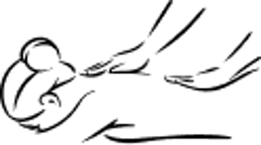 Massoterapeuta Ana Gatto  logo
