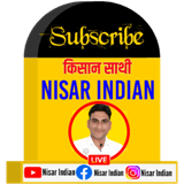 NISAR INDIAN logo