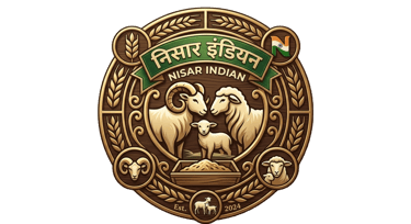 NISAR INDIAN logo