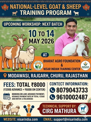 goat and sheep offline training