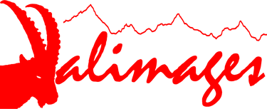 valimages.ch logo