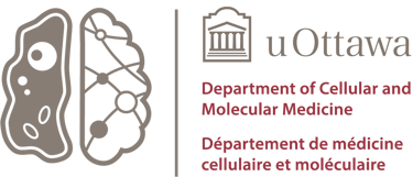 CMM NSC GSA logo