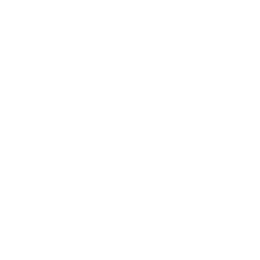 Perfect Youth Ltd logo