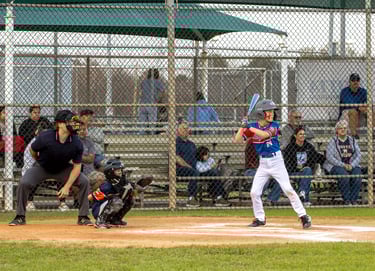 Little League Cubs vs Red Sox. Photo by Taylor Pleasant
