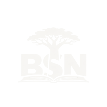 Black Support Network logo