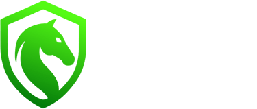 Hayasis logo