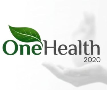 One Health 2020 logo
