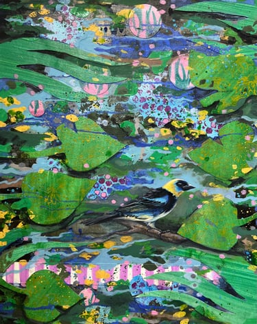Tangara larvata (Available)