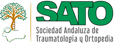 CONGRESO SATO 2024 logo