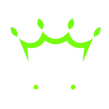H.E.S logo