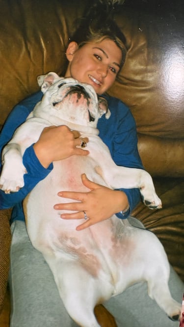 english bulldog getting love on a dog sitting job