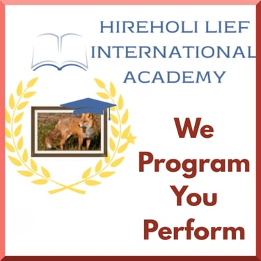 Hireholi Lief International Academy logo