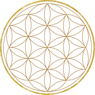 Praxis-Barahona logo