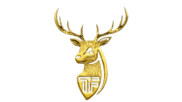 TF logo