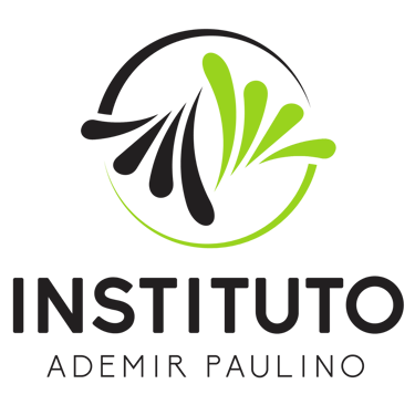Instituto Ademir Paulino logo