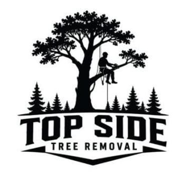 Tree services, Tree removal, Stump Grinding, Emergency Tree Removal in Noble, Norman, Edmond, Oklahoma City, Newcastle, Moore, Purcell logo