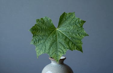 A macro shot of a single, architectural green leaf in a simple ceramic vase against a muted blue-grey wall in a North American setting, representing focused growth.