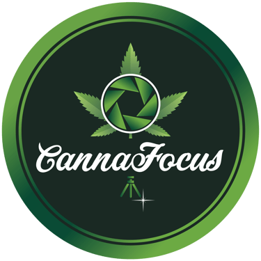 cannafocus.eu logo