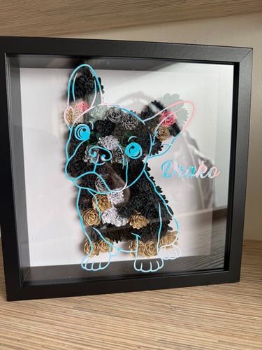 quadro nero visto frontalmente con bulldog francese fatto con fiori di carta colorati ,sul vetro linee  del cane