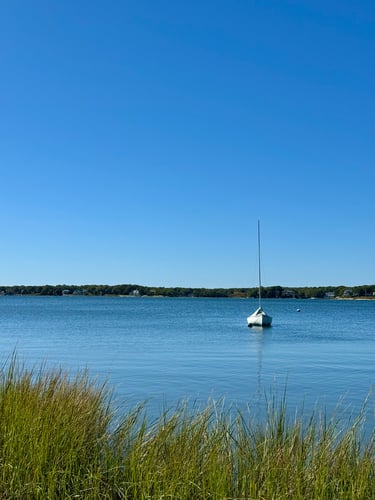 Cotuit bay