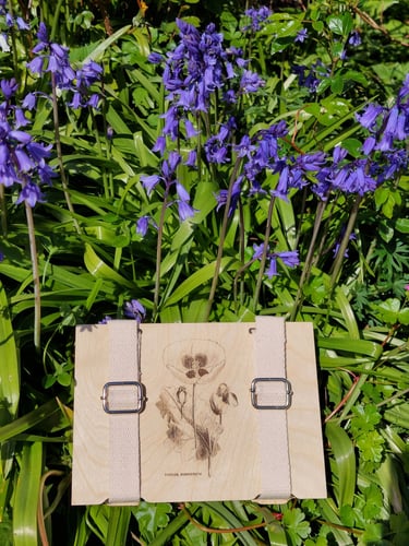 Wooden flower press with poppy image in front of bluebells